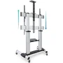 Tooq FS20300M-B Soporte de Suelo con Ruedas Inclinable Ajustable para TV 60-100" hasta 100kg con Bandejas DVD y Webcam